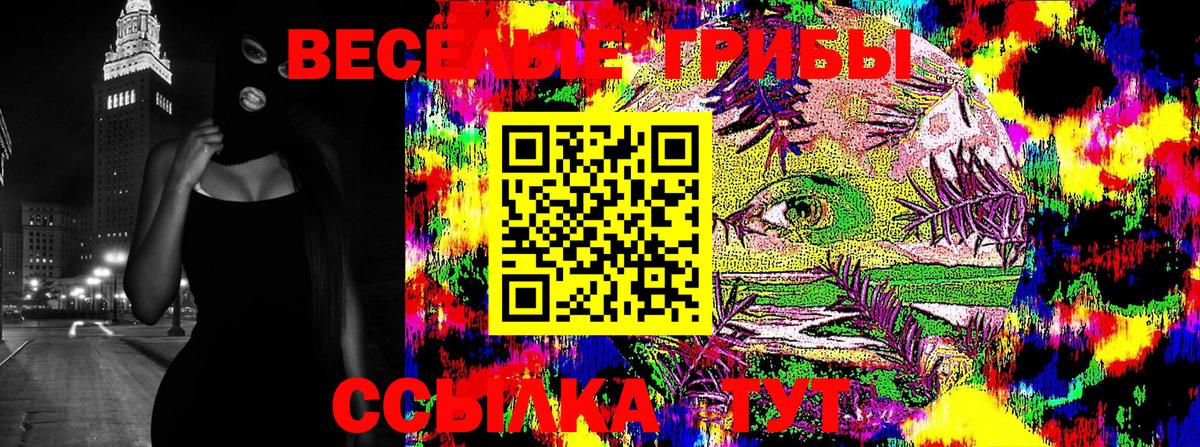 Псилоцибиновые грибы Psilocybine cubensis  закладки  Малгобек  Вход с VPN 